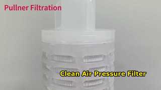 Hava basıncı için 30 inç PTFE kıvrımlı filtre kartuşu