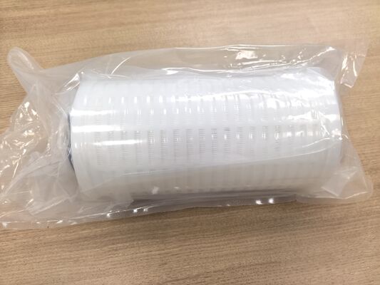 PLPF Serisi Kimyasal Korozyon Direnci ve Düşük Yağış için Hidrofilik PTFE Membranlı Tamamı Floropolimer Filtre Kartuşu