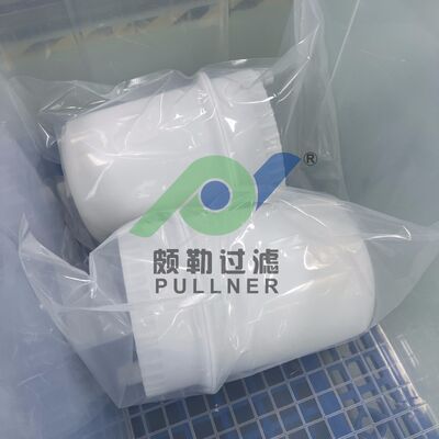 10inch PRS Series Integrated Saccular Filter Cartridge for New Energy Applications