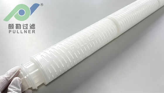 Mikroelektronik Filtrasyon için 40 inçlik Yüksek Akışlı PES Membran Filtre Kutuları