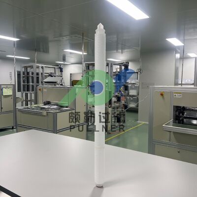 Mikroelektronik Filtrasyon için 40 inçlik Yüksek Akışlı PES Membran Filtre Kutuları